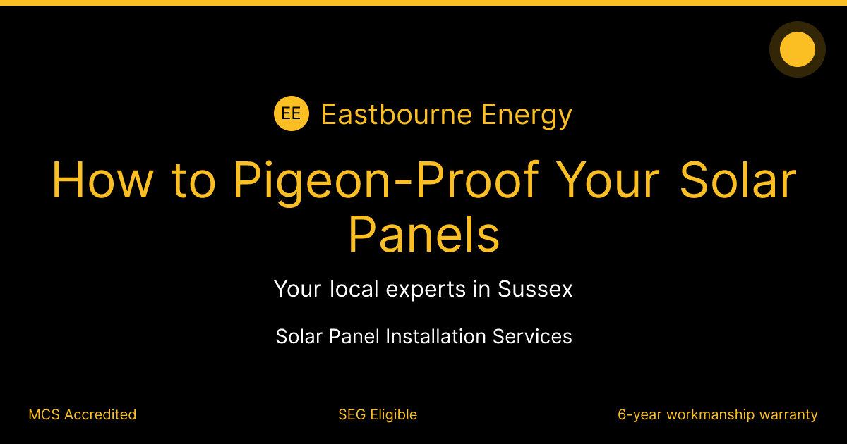 How to Pigeon-Proof Your Solar Panels