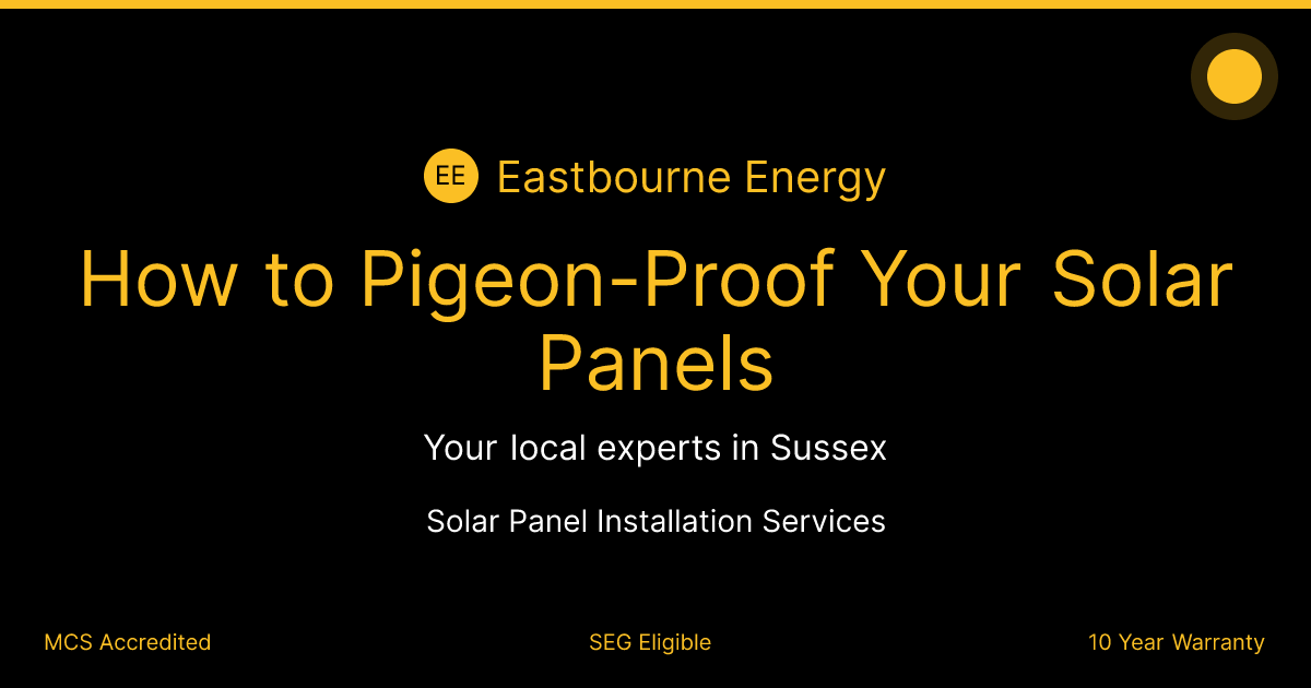 How to Pigeon-Proof Your Solar Panels