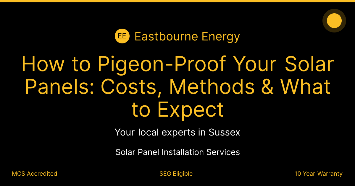 How to Pigeon-Proof Your Solar Panels: Costs, Methods & What to Expect
